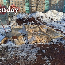 А из нашего окна вышка связи видна: оренбуржцы с таким соседством не согласны