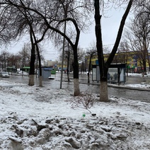 В Оренбурге вышедшего из отпуска мэра озадачил паводок