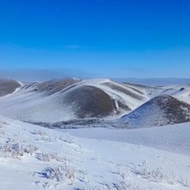 В оренбургских степях уже заметили первых насекомых