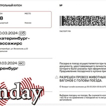 Нескольких пассажиров поезда № 380 Новый Уренгой - Оренбург высадили за пьяный дебош