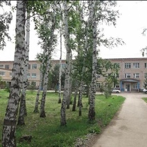 В Асекеевском районе алабай изувечил женщину