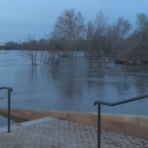 Спасите, помогите: в Оренбурге мужчина упал в Урал и смог доплыть до подтопленного дерева