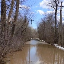 Из Дубков эвакуируются дачники и жители коттеджного поселка