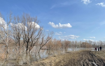 В Орске из-за половодья веден режим ЧС