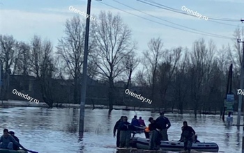 Из СНТ «Соловушка» под Оренбургом вывозят местных жителей