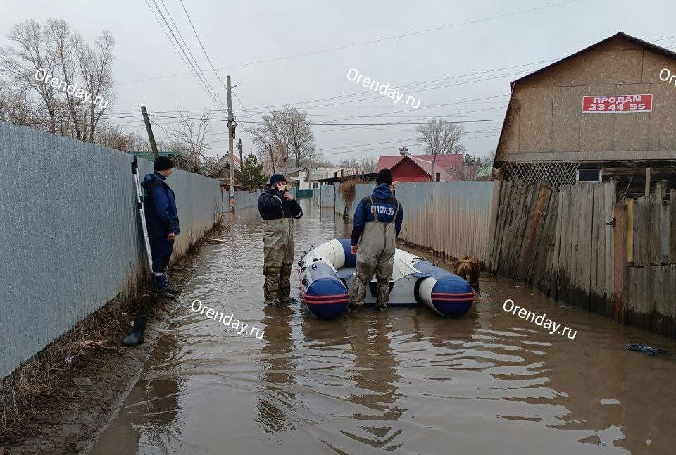 Секс видео из оренбурга снятое скрытой камерой: порно видео на а-хвостов.рф