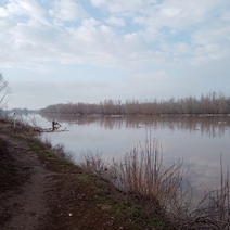 Уровень воды в Урале в Илекском районе достиг опасной отметки