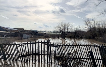 Вода ушла, и что остается: фоторепортаж из Краснохолма после паводка