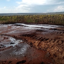 По всему Оренбуржью разлив воды, а в Красногвардейском районе – нефти