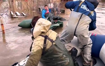 Жители одного из СНТ приплыли на лодке покормить коз, но потерпели бедствие  