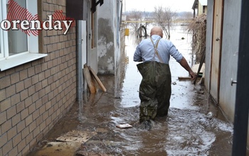 Поручения президента коснулись СНТ, пострадавших от паводка, и долевого имущества