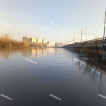 Урал в Оренбурге поднялся до рекордного уровня