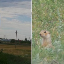 Минприроды проиграло суд жителям Чебеньков: мусорозавода по соседству с ними не будет