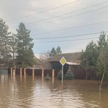 В Пригородном под Оренбургом скончался мужчина, спасая животных от большой воды