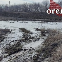 Оренбуржье заливает фекалиями