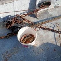 Нерестовый запрет: воды в Оренбургской области много, но не порыбачить