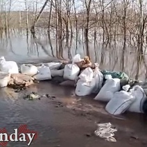 Лай, сбившийся в кучу на островке скот и море вокруг: под Оренбургом снова эвакуация