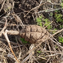 Под Оренбургом всплыла боевая граната