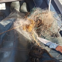 Инспекторы Бузулукского бора изъяли у браконьера 160 метров сетей, 11 «экранов» и 2 «косынки»