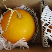 Китайские дыньки из Казахстана оказались не к столу оренбуржцев