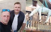 В Оренбурге спасли коня, пережидавшего паводок на балконе коттеджа