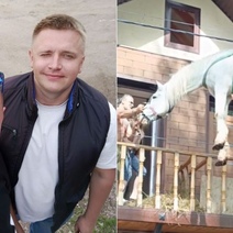 В Оренбурге спасли коня, пережидавшего паводок на балконе коттеджа