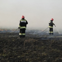 В Оренбуржье из-за попытки сжечь сено едва не сгорел заповедник