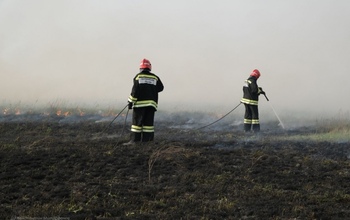 В Оренбуржье из-за попытки сжечь сено, едва не сгорел заповедник