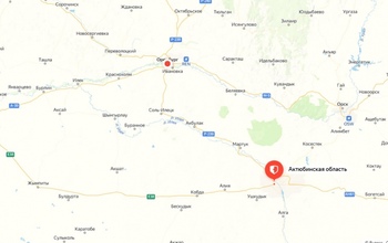 В этом году Оренбуржье может столкнуться с нашествием саранчи