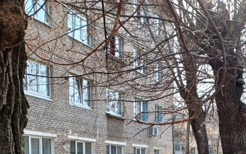Оренбургским студентам приходится спать с тараканами и есть с ними из одной тарелки