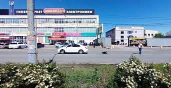 В Оренбурге все чаще пешеходы попадают под колеса автомобилей