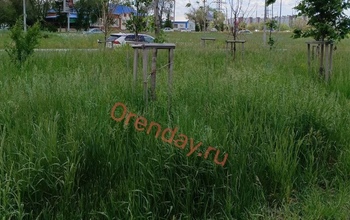 Коммунальщики Оренбурга рассказали, почему город нельзя «идеально выбрить»
