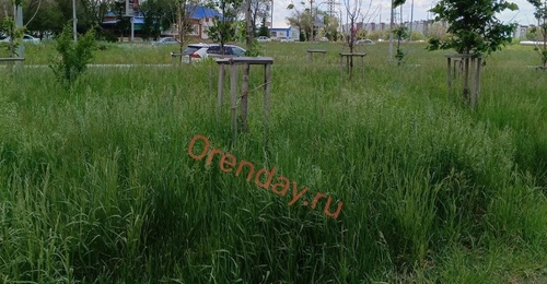 Коммунальщики Оренбурга рассказали, почему город нельзя «идеально выбрить»