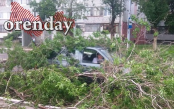 Ураган в Оренбурге поломал деревья и оставил горожан без света