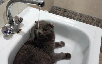 На следующей неделе оренбуржцы останутся без горячей воды