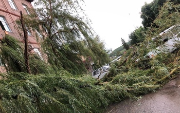 Ураган в Бугуруслане ломал и валил деревья как щепки