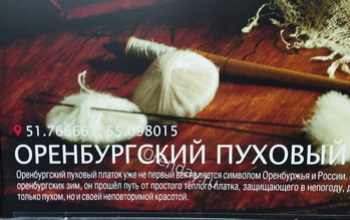 Коснётся ли национализация оренбургского пухового платка