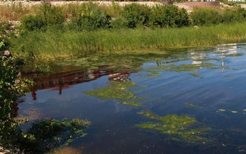 Оренбуржцы, спасаясь от жары, продолжают тонуть 