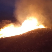 Рядом с заповедником 