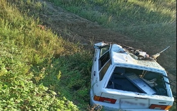 В Оренбуржье в ДТП с двумя лошадьми погибли три человека 