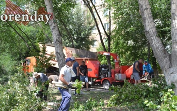 В Оренбурге в жару производят губительную для деревьев опиловку