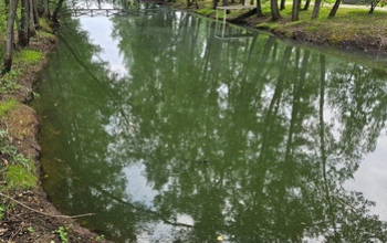 Специалисты Россельхознадзора не нашли на Димитровском водохранилище мертвой рыбы