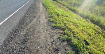 Внимание розыск: на трассе Оренбург-Илек неизвестный водитель насмерть сбил мужчину и скрылся (18+)