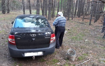 Оренбуржцы приезжают в Бузулукский бор за грибами, а возвращаются со штрафами