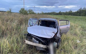 В Оренбургском районе автоледи во время обгона едва не погубила двух детей