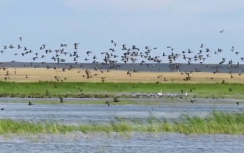 В Оренбуржье на радость рыбакам и фауне наполняются озера