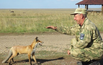 В Оренбуржье водятся ручные лисята