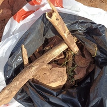 Житель Сакмарского района нашел человеческий череп 