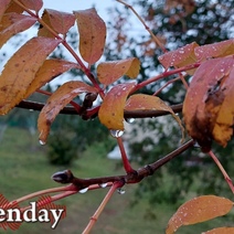 Убегаем от осенней хандры. Как оренбуржцам провести время с пользой и удовольствием 