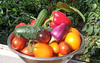Оренбуржцам советуют собрать осенний витаминный букет из 5 суперпродуктов для укрепления иммунитета